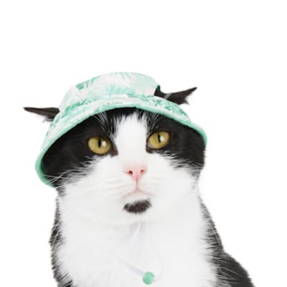 cat hat - Picture 4 of 8